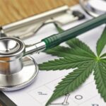 Cannabis e ADHD: Il Ruolo del Sistema Endocannabinoide