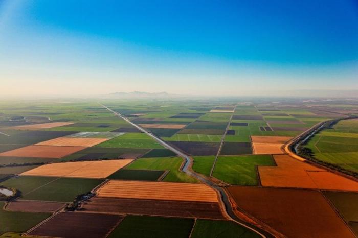 Central-Valley-California-Farmland-777x518-1-1.jpg