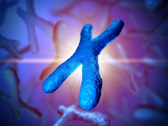 Chromosome-Genetics-Illustration-777x583-1-1.jpg