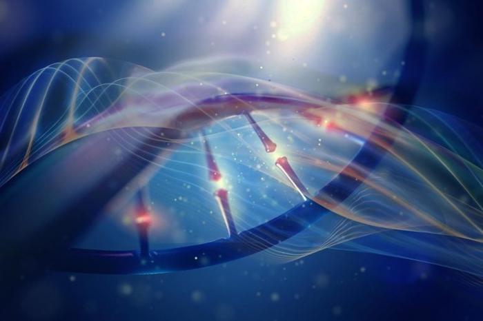 Genetica del DNA Evoluzione Arte Concettuale