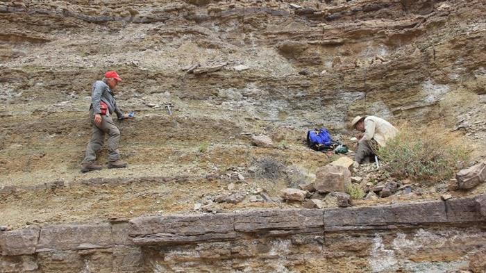 Fred Sundberg alla Ricerca di Fossili