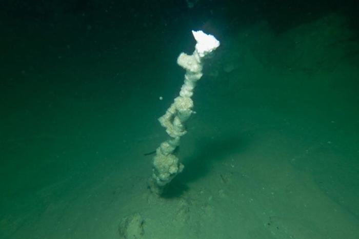 Halite Chimney in the Dead Sea