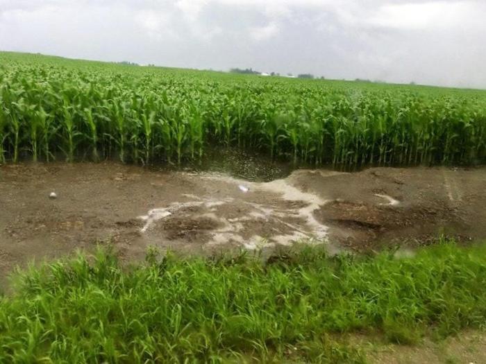 Runoff in Corn Field