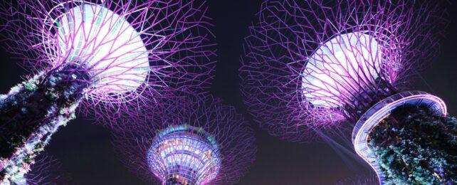 Alberi a baldacchino di Singapore