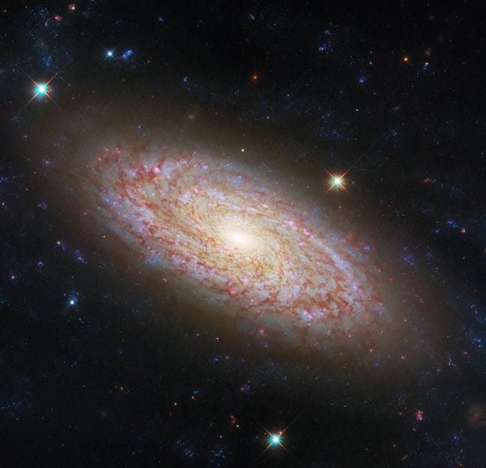 Spiral-Galaxy-NGC-2090-777x749-1-1.jpg