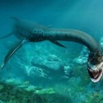 Nuoto bio-ispirato del plesiosauro: risolto il problema dei quattro arti