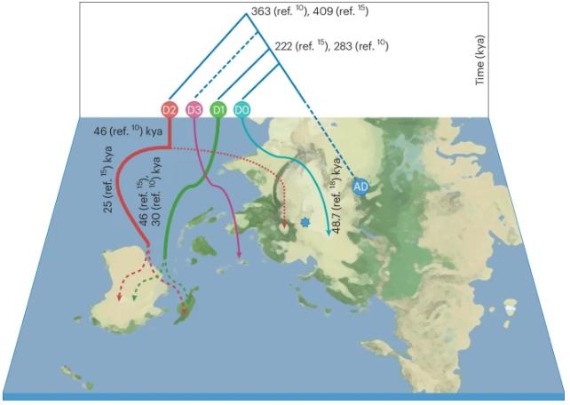 mappa del mondo con le linee dei Denisovani