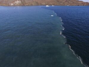 Immagine aerea del drone del fronte netto che divide le acque oceaniche limpide da un pennacchio di fiume di acqua dolce torbida alimentato dallo scioglimento del ghiacciaio della Groenlandia