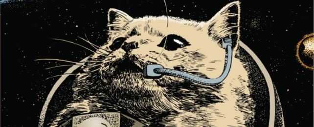 illustrazione di gatto astronauta