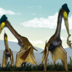 Nuova specie di pterosauro scoperta in Giappone