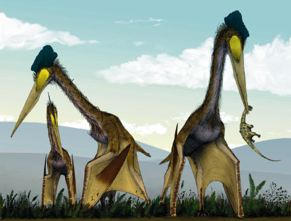 image_2107-Quetzalcoatlus.jpg