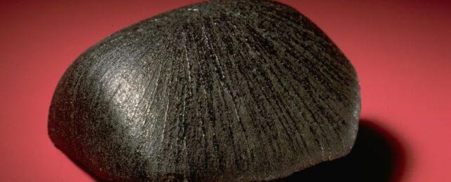 Questo Meteorite Ha Appena Rivelato un Antico Segnale d'Acqua su Marte