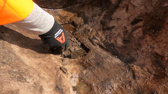 La foto mostra la mano guantata di un archeologo che rimuove delicatamente il terreno dalla vanga mentre giace nella terra. Il contorno della vanga è appena visibile nel fango circostante ma si può distinguere la forma della sua testa. 