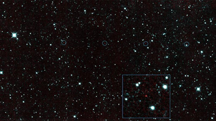 Il primo oggetto vicino alla Terra avvistato da NEOWISE.