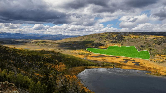 una vista aerea di pando quaking aspen che si estende su 42,6 ettari