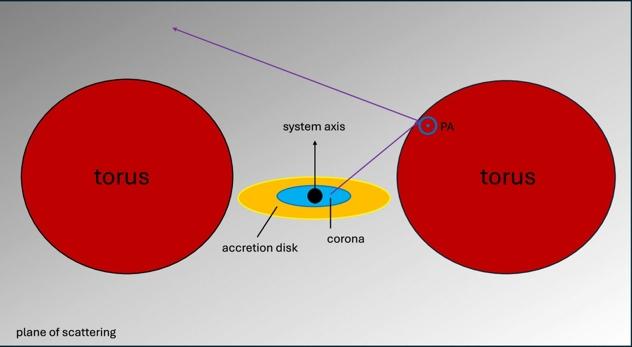 Gli scienziati rivelano per la prima volta la forma di una corona di buco nero