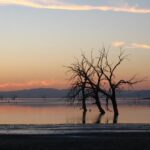 La crisi del Salton Sea: un pericolo per la salute e l’ambiente