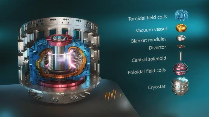 Infografica 3D di un Tokamak ITER