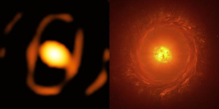 L'immagine reale mostra una forma ovale sottile e al centro un'arancia simile a un uovo, la stella. L'immagine dell'artista sul lato mostra lo stesso ma fornisce la leggerezza del disco esterno di gas e la sfocatura del supergigante rosso.