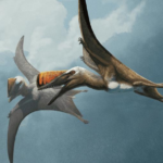 La scoperta di Skiphosoura: un nuovo capitolo nell’evoluzione dei pterosauri