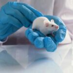 Il Futuro della Ricerca Biomedica: Metodi Alternativi alla Sperimentazione Animale