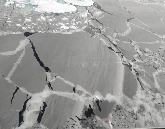 Ghiaccio grigio screpolato su un oceano