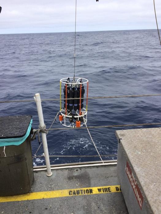 Bottiglie contenenti campioni oceanici provenienti da profondità marine