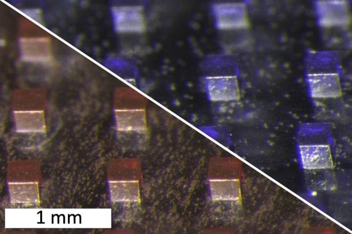 Microparticelle per il Cancro MIT