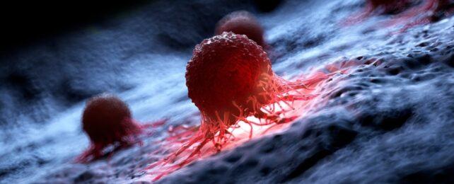 CancerCellsRedOnBlueBackground1042x415-642x260-1.jpg