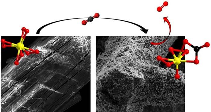 Molecole di Titanio per la Cattura del Carbonio