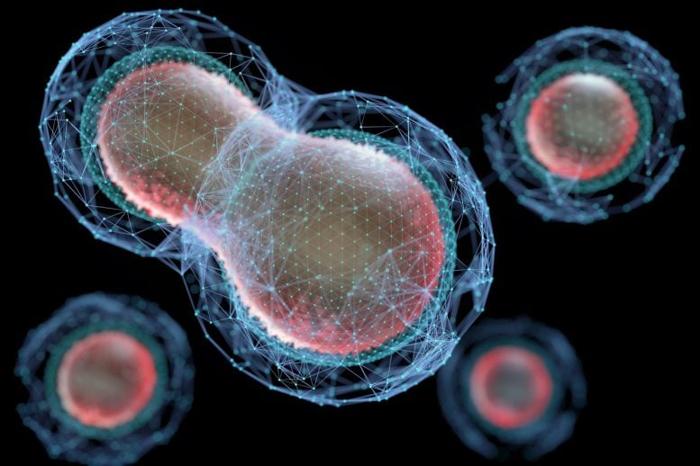 Cells-Splitting-Meiosis-Biotechnology-777x518-1.jpg