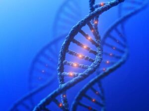 Concetto di Mutazione Genetica del DNA