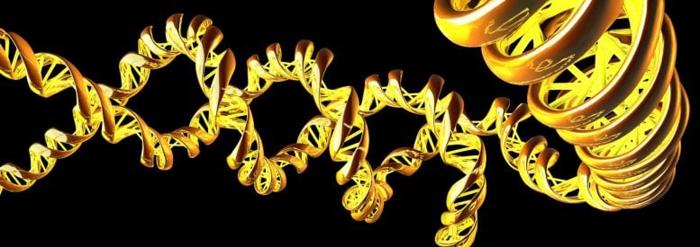 DNA Twists Header