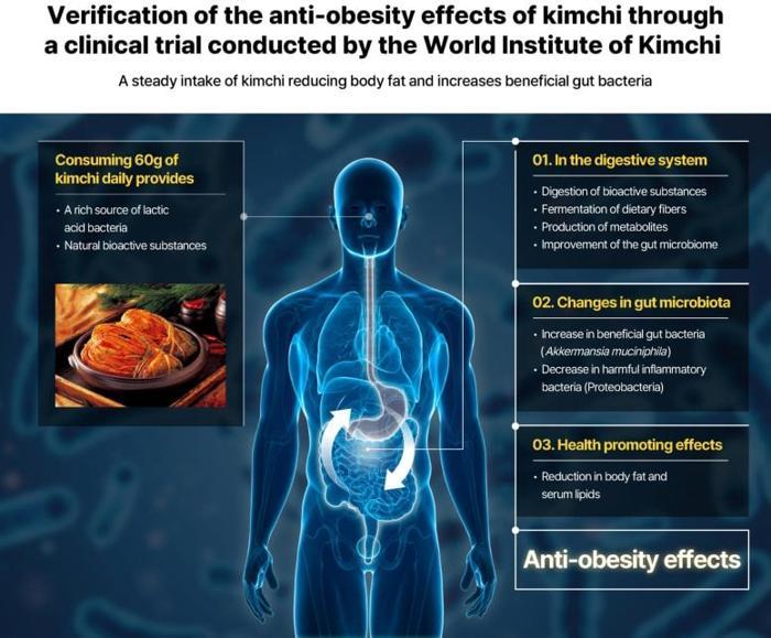 Diagramma degli Effetti Anti-Obesità dello Studio Clinico sul Kimchi