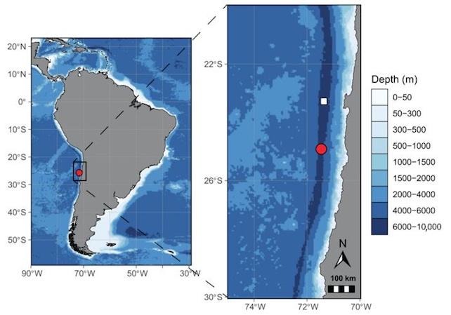 mappa che mostra dove è stata trovata la nuova specie di anfipode, Dulcibella camanchaca