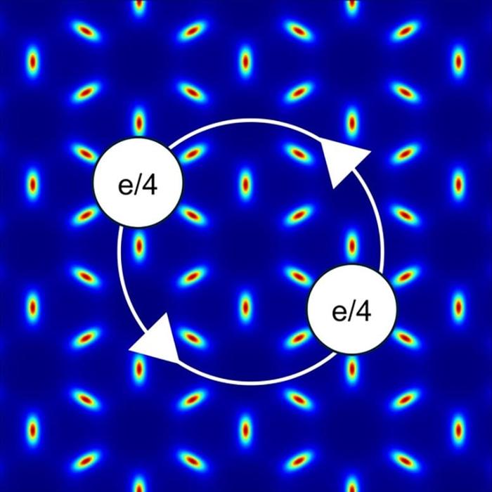 Campo Magnetico Emergente in Strati Sottili Atomici di Ditellururo di Molibdeno