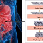 Innovazione bioispirata: Dispositivi Medici del Futuro