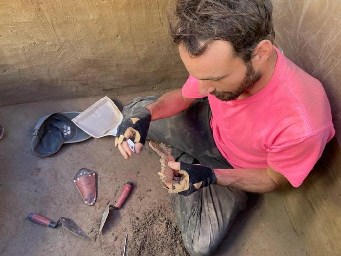 François Lanoë Con Mandibola Canina Vecchia di 8.100 Anni