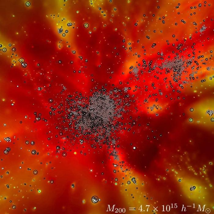 Simulazione Frontier delle particelle traccianti stellari