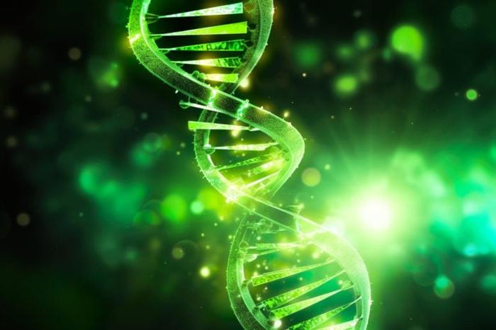 Glowing-Green-DNA-Longevity-777x518-1.jpg