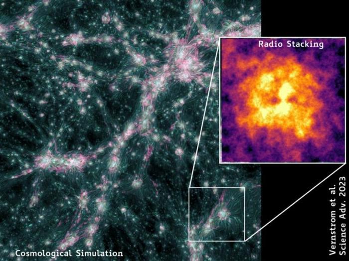 Campi magnetici della rete cosmica