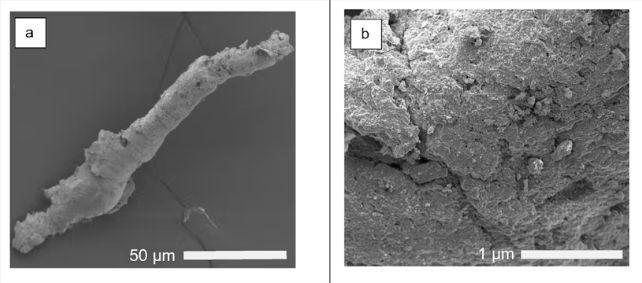 Frammenti di microplastica sotto il microscopio in bianco e nero