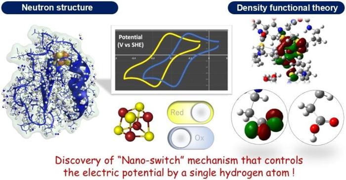 Schema del meccanismo del 'nano-interruttore'