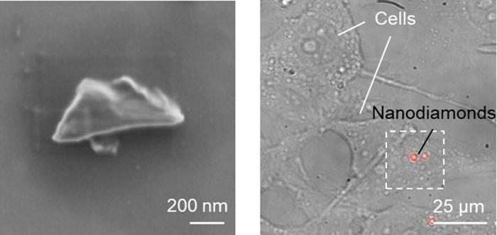 Nanodiamanti con Centri di Vuoto di Azoto