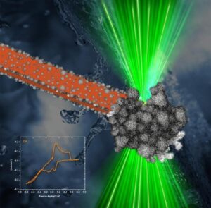 Film di nanoparticelle PtNi su un elettrodo di carbonio durante la voltammetria ciclica