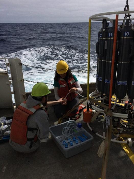 Ricercatori del Laboratorio di Geomicrobiologia di Dekas svuotano acqua marina appena raccolta