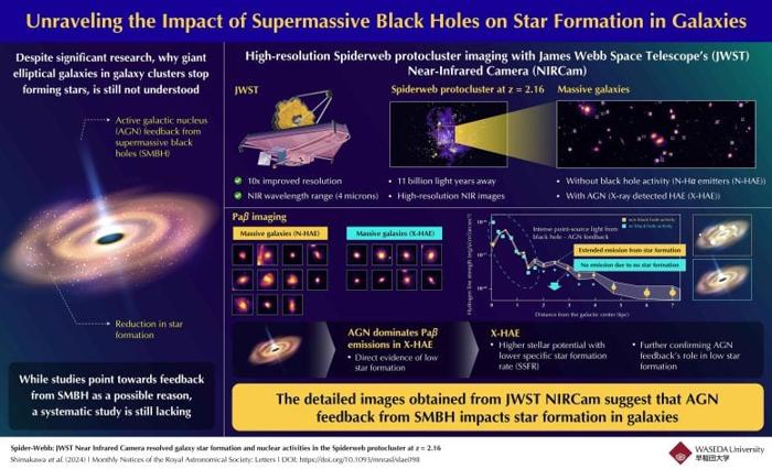 Ruolo dei Buchi Neri Supermassicci nel Fermare la Formazione Stellare delle Galassie Massive