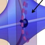 La sorprendente scoperta del fermione semi-Dirac