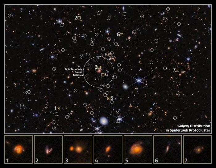 Distribuzione della Galassia Protocluster Spiderweb