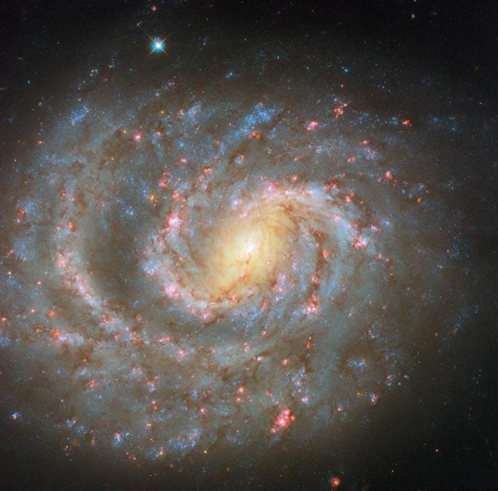 Galassia a spirale NGC 1637